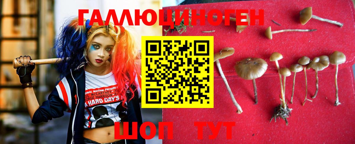 Галлюциногенные грибы прущие грибы Тара
